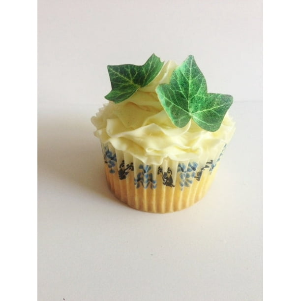24 Round iPhone iPad App Edible Rice Wafer Paper Birthday Cupcake Cake Toppers 24 Round iPhone iPad App Edible Rice Wafer Paper Birthday Cupcake Cake Toppers